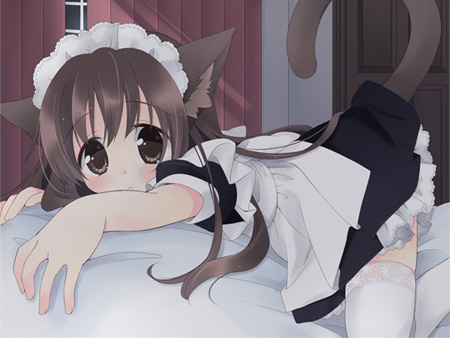 夜這いにゃんこ